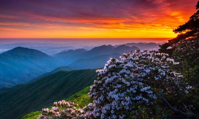 探秘龙王山省级自然保护区,享受清凉避暑胜地-和风乐游农庄(图1) 探秘龙王山省级自然保护区,享受清凉避暑胜地-和风乐游农庄(图1)