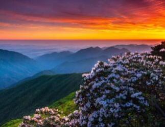 探秘龙王山省级自然保护区，享受清凉避暑胜地-和风乐游农庄 - 和风乐游农庄