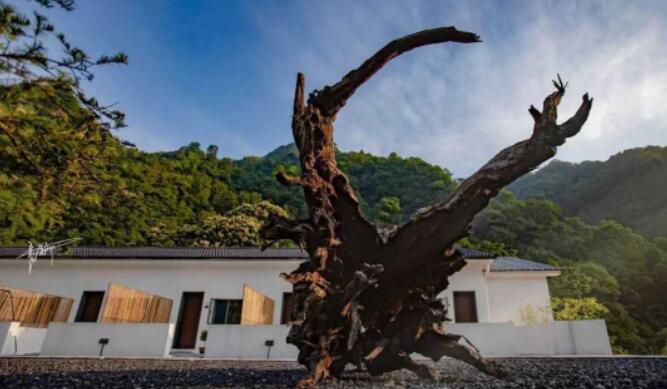 隐匿山林的醉美民宿 安吉山原色体验山居生活-和风乐游农庄(图4)