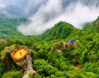 安吉最美配色盘点：从嘉年红到星空紫的色彩盛宴-和风乐游农庄 - 和风乐游农庄