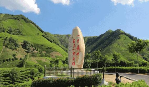 安吉之美：温润山水间的诗意生活体验-和风乐游农庄(图9)