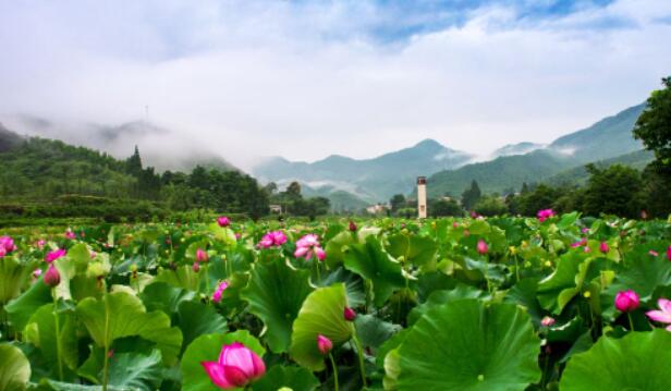 安吉余村景区：绿水青山理念诞生地的生态旅游胜地-和风乐游农庄(图4)