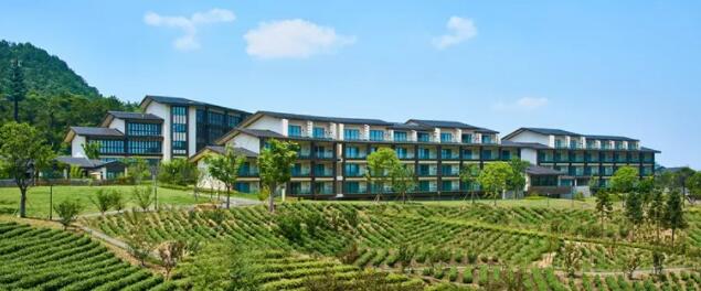 安吉全域旅游发展成效显著 打造国家级旅游度假示范区-和风乐游农庄(图7)