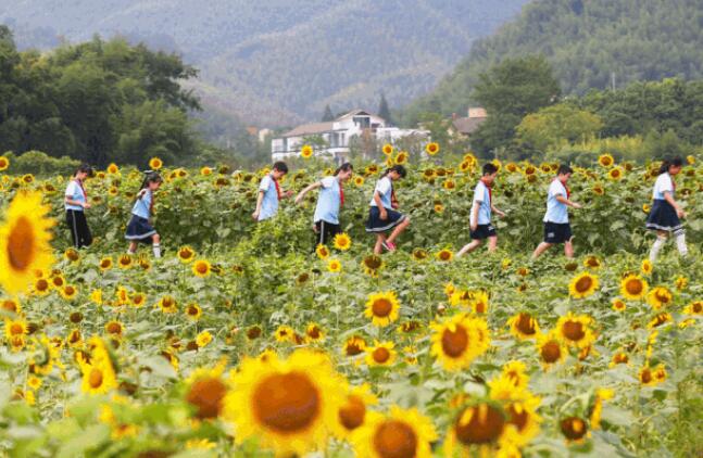 安吉全域旅游发展成效显著 打造国家级旅游度假示范区-和风乐游农庄(图11)