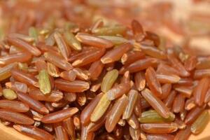 红米 - 和风乐游农庄