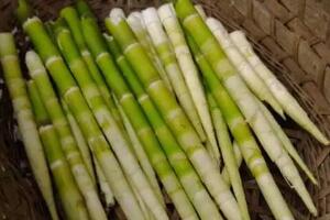 井冈竹笋 - 和风乐游农庄