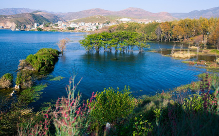 丽江旅游攻略：茶马古道与雪山秘境的千年纳西风情体验指南-和风乐游农庄(图4)