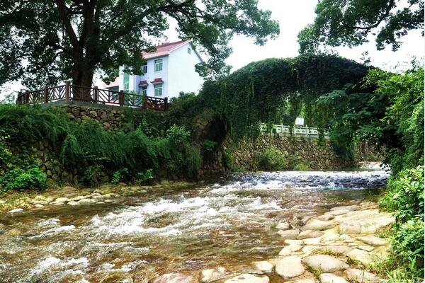 杭州桐庐荻浦花海：田园风光与休闲娱乐完美融合的乡村旅游胜地-和风乐游农庄(图2)