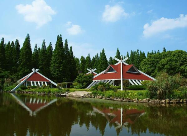 上海东平国家森林公园：华东最大人造平原森林探秘-和风乐游农庄(图3)