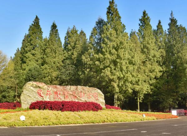 上海东平国家森林公园：华东最大人造平原森林探秘-和风乐游农庄(图1)