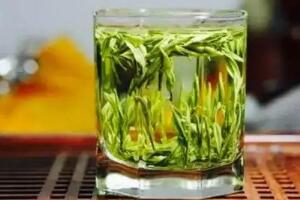 春来早茶叶产地工艺与品质特色解析-和风乐游农庄 - 和风乐游农庄