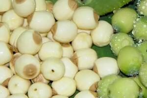 处州白莲的营养价值与养生功效解析-和风乐游农庄 - 和风乐游农庄