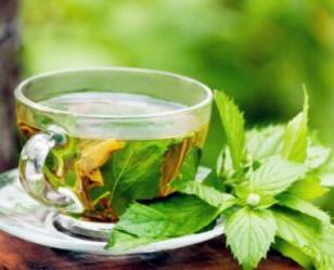 春季养生茶推荐：薄荷茶玫瑰花茶缓解春困提神醒脑-和风乐游农庄 - 和风乐游农庄