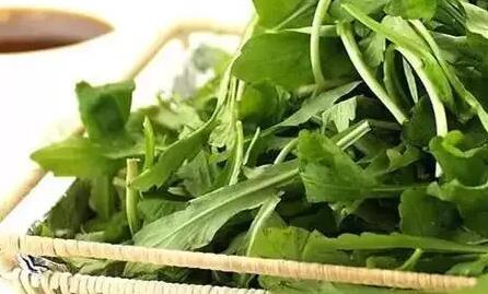 野菜食用注意事项，哪些野菜不能随便吃-和风乐游农庄(图1)