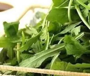 野菜食用注意事项，哪些野菜不能随便吃-和风乐游农庄 - 和风乐游农庄