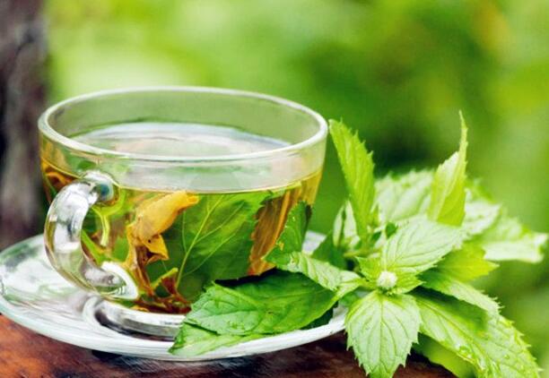 春季养生茶推荐:薄荷茶玫瑰花茶缓解春困提神醒脑-和风乐游农庄(图1) 春季养生茶推荐:薄荷茶玫瑰花茶缓解春困提神醒脑-和风乐游农庄(图1)