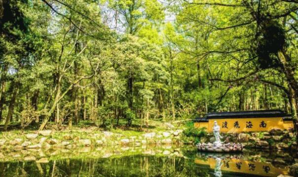 安吉假期出行攻略，五大景点让你玩转团圆时光-和风乐游农庄(图2)