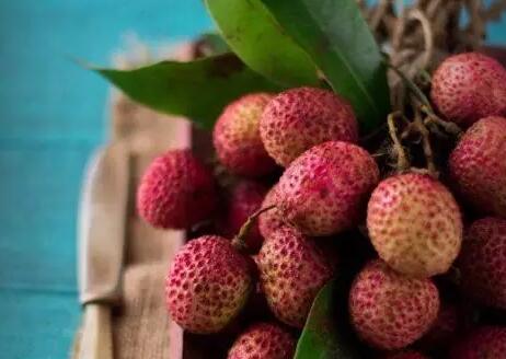 常见水果挑选技巧指南，轻松买到甜度高的水果-和风乐游农庄(图4)