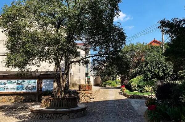 杭州桐庐荻浦花海：田园风光与休闲娱乐完美融合的乡村旅游胜地-和风乐游农庄(图5)