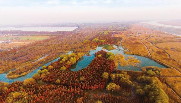 西沙湿地公园(图1)