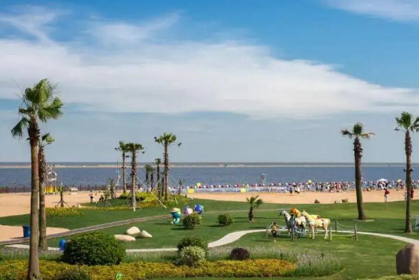 金山城市沙滩(图2)