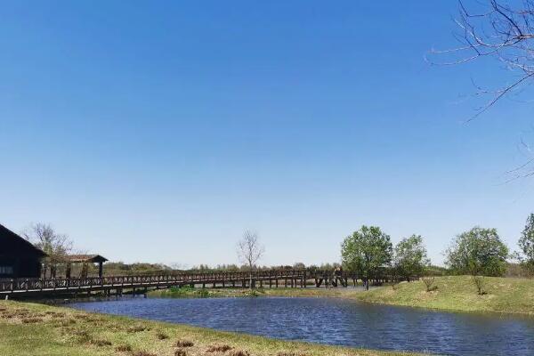 西沙湿地公园(图2)