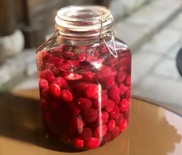 自制杨梅酒(图2)