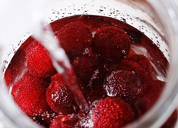 自制杨梅酒(图1)