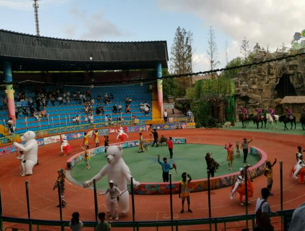 上海野生动物园(图4)