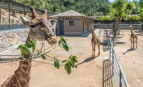 中南百草园亲子游攻略 动物世界植物王国游玩指南-和风乐游农庄(图1)