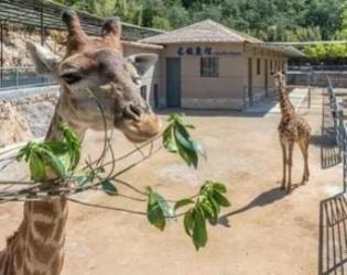 中南百草园亲子游攻略 动物世界植物王国游玩指南-和风乐游农庄 - 和风乐游农庄