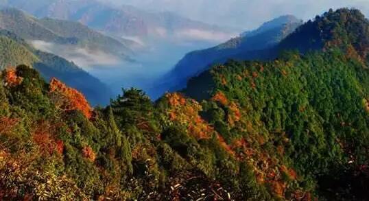 来一场说走就走的旅行 放飞自我感受自然之美-和风乐游农庄(图2) 来一场说走就走的旅行 放飞自我感受自然之美-和风乐游农庄(图2)