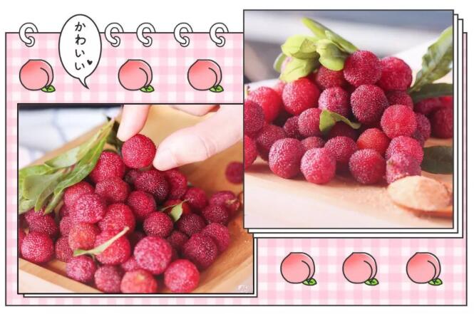 自制杨梅酒简单做法，20天酿出浓郁果香酒-和风乐游农庄(图1)