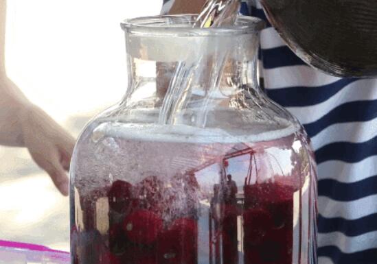 自制杨梅酒简单做法，20天酿出浓郁果香酒-和风乐游农庄(图2)