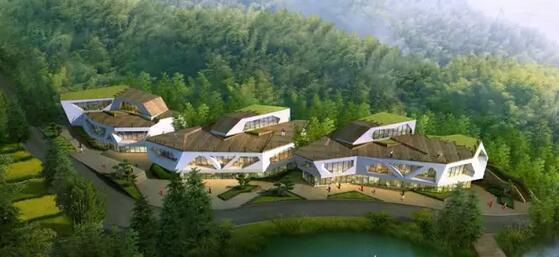 自驾游安吉感受山水情，青山绿水间的自由之旅-和风乐游农庄(图4)