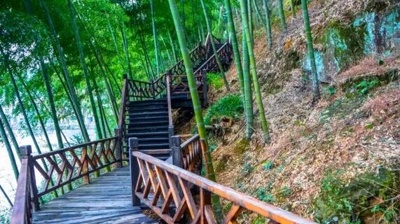 自驾游安吉感受山水情，青山绿水间的自由之旅-和风乐游农庄(图2)