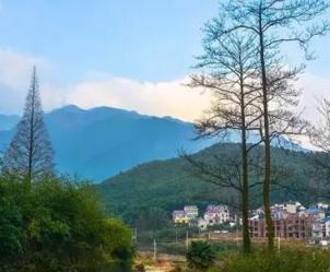 自驾游安吉感受山水情，青山绿水间的自由之旅-和风乐游农庄 - 和风乐游农庄