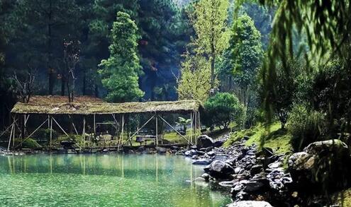 中南百草园亲子游攻略 动物世界植物王国游玩指南-和风乐游农庄(图2)