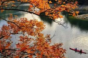 红叶湾 - 和风乐游农庄