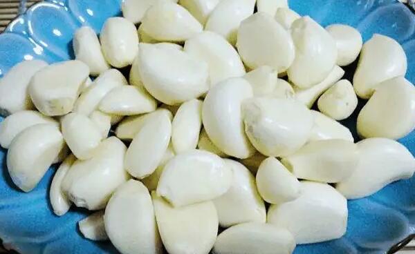 嘉定白蒜(图2) 嘉定白蒜(图2)