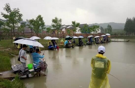 鲁家村农场体验原生态生活,桃花农场野山茶农场游玩攻略-和风乐游农庄(图2) 鲁家村农场体验原生态生活,桃花农场野山茶农场游玩攻略-和风乐游农庄(图2)