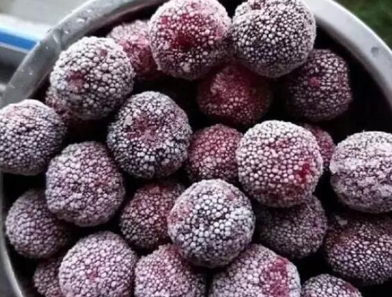 杨梅季来临，多样吃法解锁酸甜美味体验-和风乐游农庄(图3)