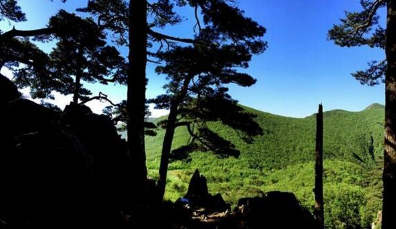 山居生活体验远离城市喧嚣享受自然宁静时光-和风乐游农庄(图4) 山居生活体验远离城市喧嚣享受自然宁静时光-和风乐游农庄(图4)