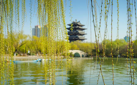 济南小众景点大揭秘：10个本地人都不知的隐藏玩法-和风乐游农庄 - 和风乐游农庄