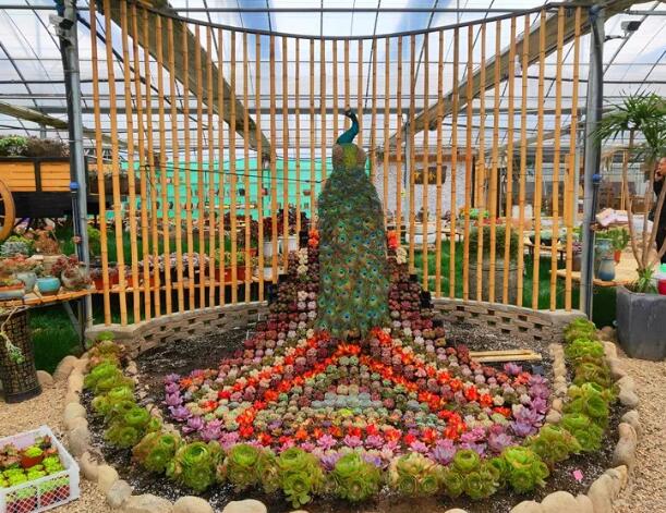 安吉田园之旅必去景点推荐，十里景溪与果园农场完美体验-和风乐游农庄(图4)