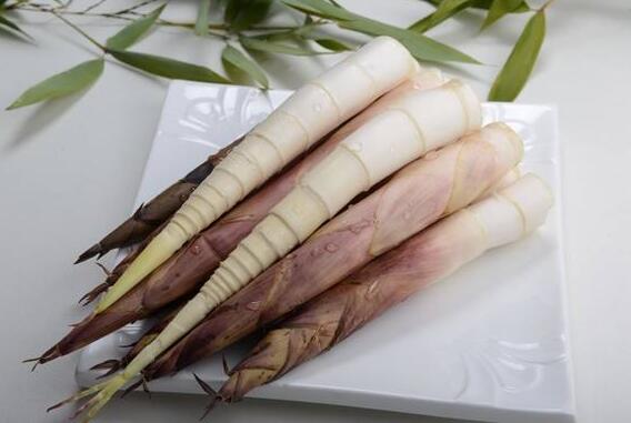 早园笋(图2) 早园笋(图2)