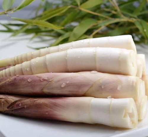 早园笋(图1) 早园笋(图1)