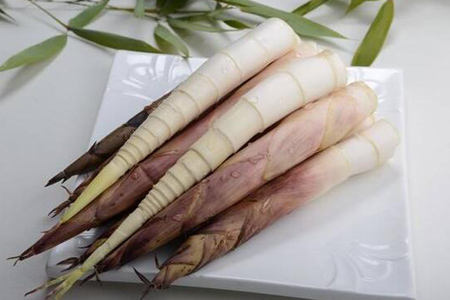 早园笋 - 和风乐游农庄