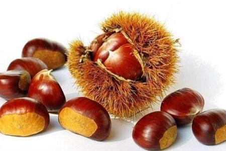 板栗 - 和风乐游农庄