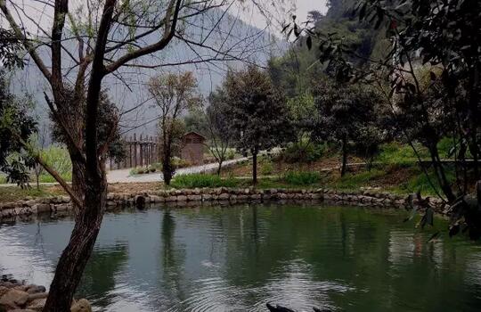 探寻最美乡村高家堂村的自然魅力-和风乐游农庄(图2) 探寻最美乡村高家堂村的自然魅力-和风乐游农庄(图2)